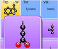 Play Amino Acid Match