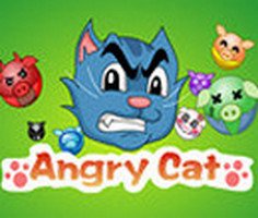 Play Angry Cat