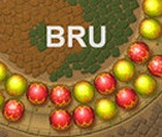 Bru