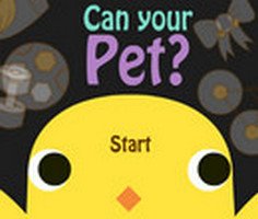 Can Your Pet