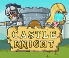 Play Castle Knight