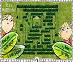 Play The Maze Game