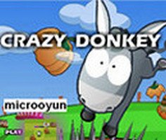 Crazy Donkey