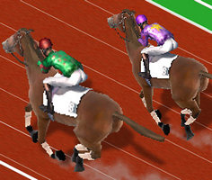 Derby Racing