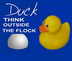 Play Duck Think Outside The Flock