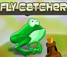 Play Fly Catcher