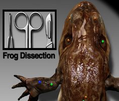 Frog Dissection