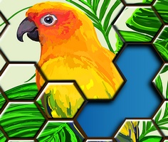 Play Jigsaw Puzzles Hexa