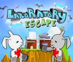 Laboratory Escape