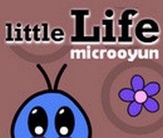 Little Life