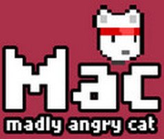 Madly Angry Cat