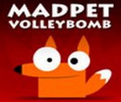Madpet Volleybomb