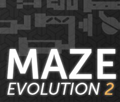 Play Maze Evolution 2