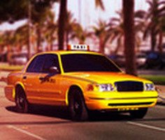 Miami Taxi Driver