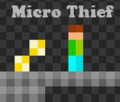 Micro Thief