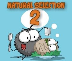 Play Natural Selection 2