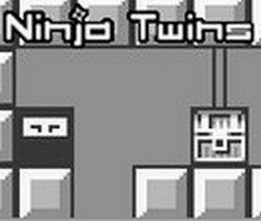 Play Ninja Twins