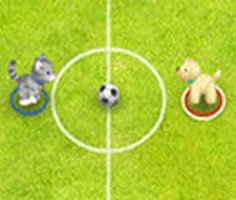 Pet Soccer