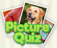 Picture Quiz