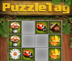 Play PuzzleTag