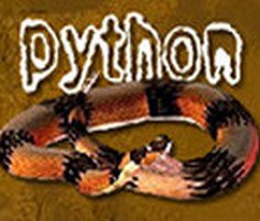 Play Python