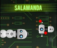 Play Salamanda