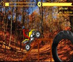 Play Quad Extreme Racer