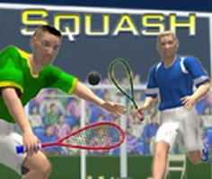 Play Squash 3D
