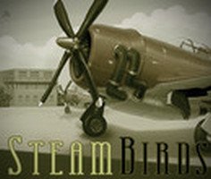 SteamBirds