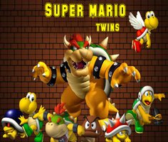 Play Super Mario Bros Twins