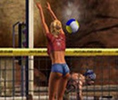 Voleybol